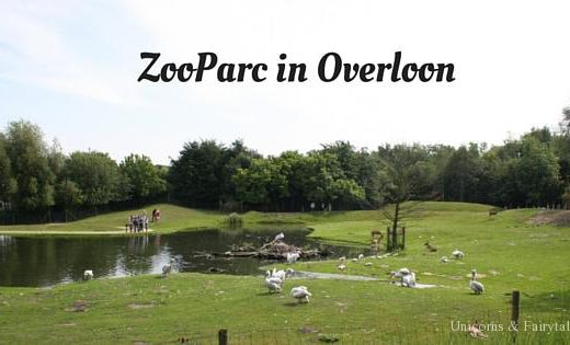 Zooparc - unicorns & fairytales