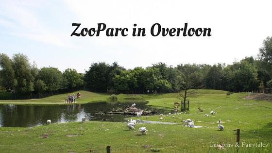 Zooparc - unicorns & fairytales