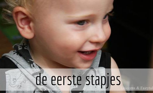 de eerste stapjes - unicorns & fairytales