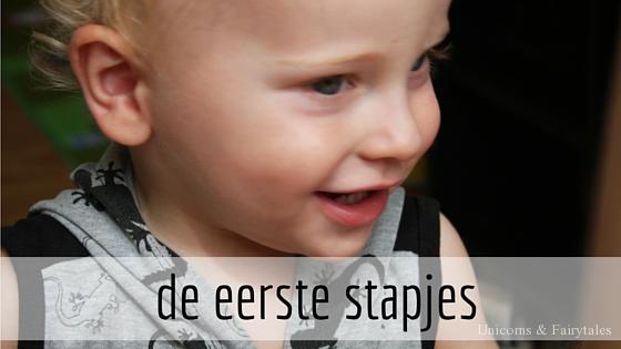 de eerste stapjes - unicorns & fairytales