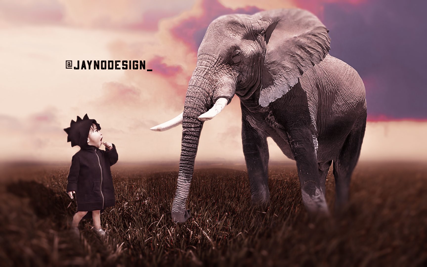Jayno design - unicorns & fairytales