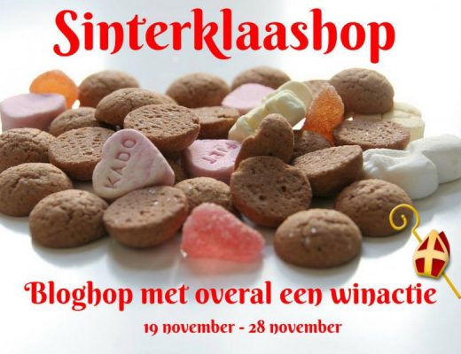 sinterklaashop - unicorns & fairytales