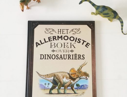 activiteiten rond dino's - unicorns & fairytales