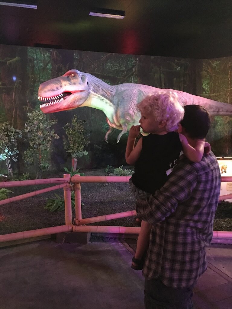 expo dino world - unicorns & fairytales