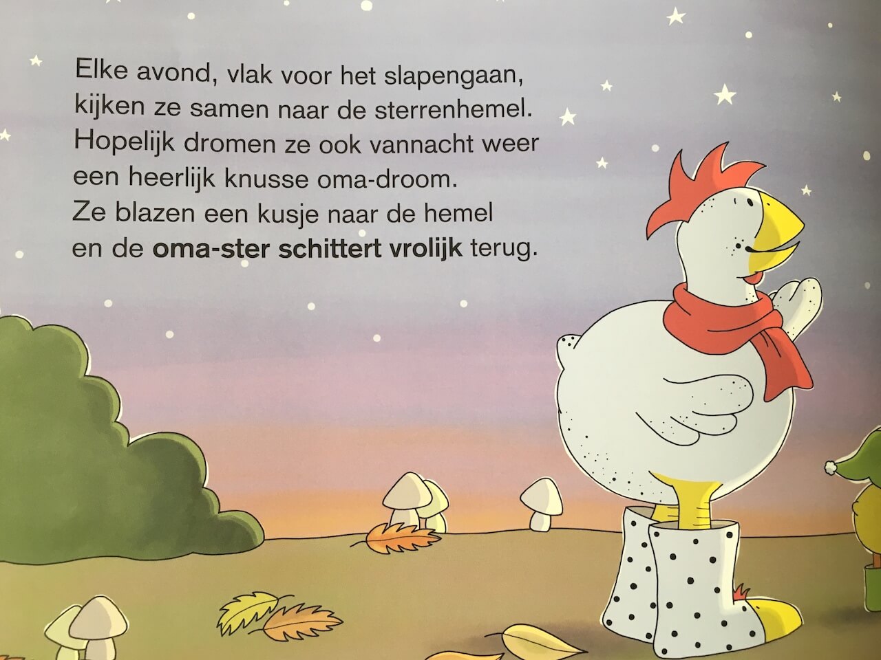 boeken over rouwen - unicorns & fairytales