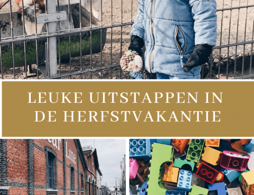 uitstappen en activiteiten in de herfstvakantie - unicorns & fairytales