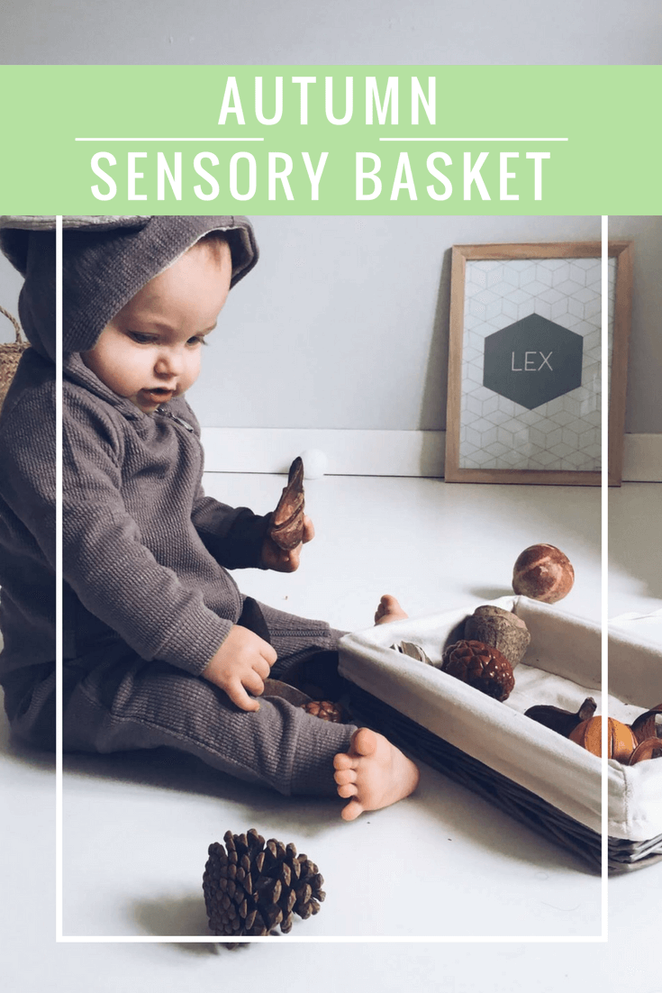 oatmeal cookies - Een sensory basket voor baby's in thema herfst