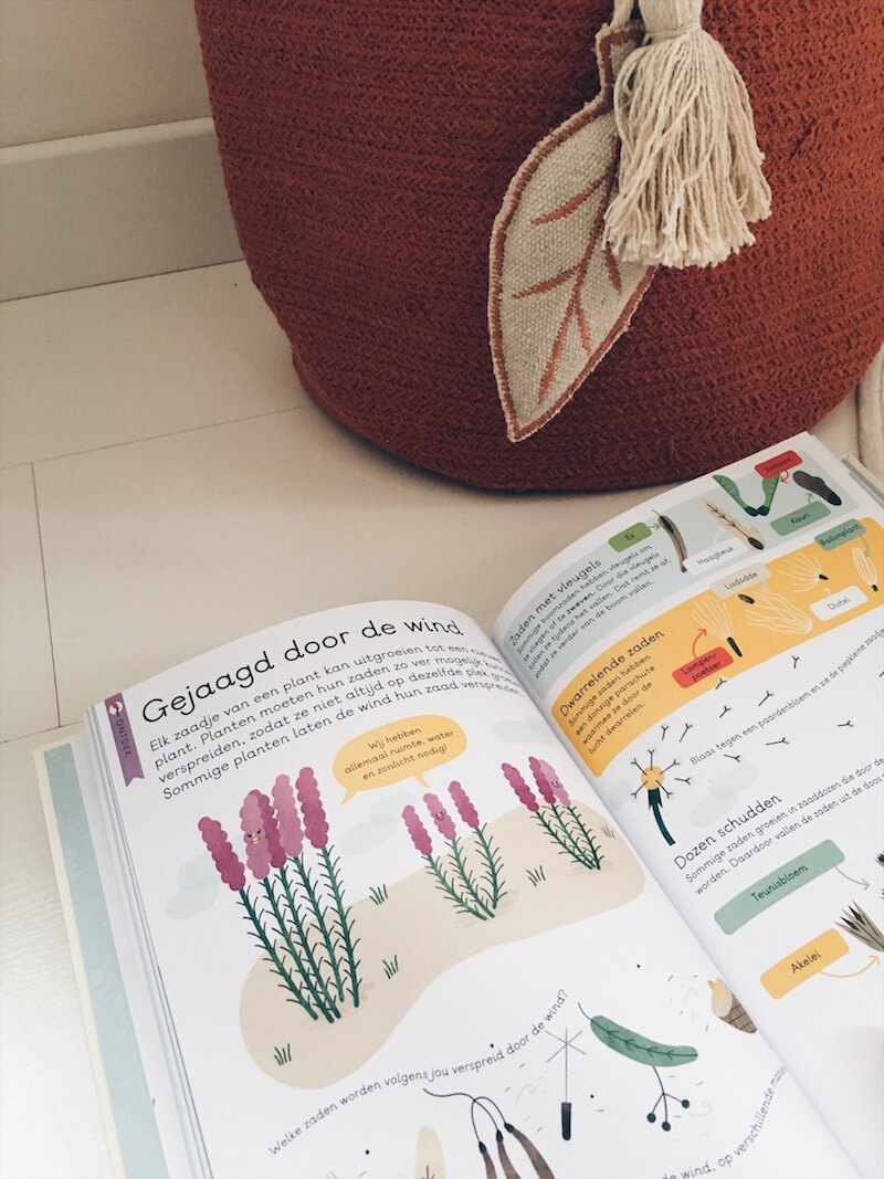 boeken thema water en wind - unicorns & fairytales