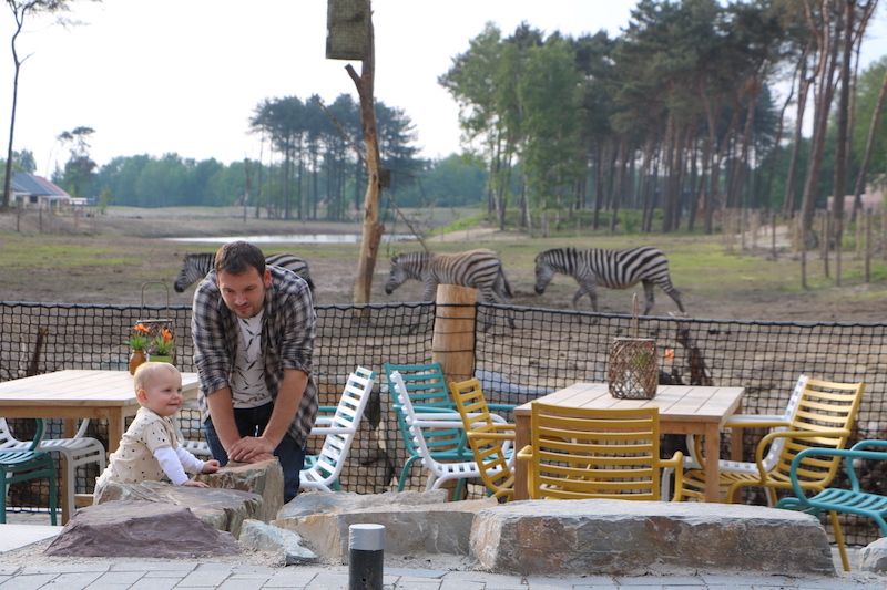 Safari resort beekse bergen - unicorns & fairytales