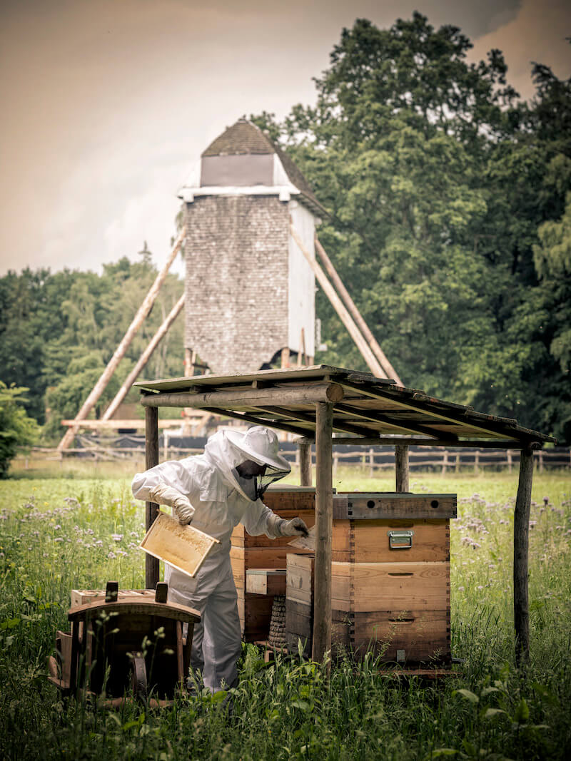 zomerfestival en wonderweekend - unicorns & fairytales