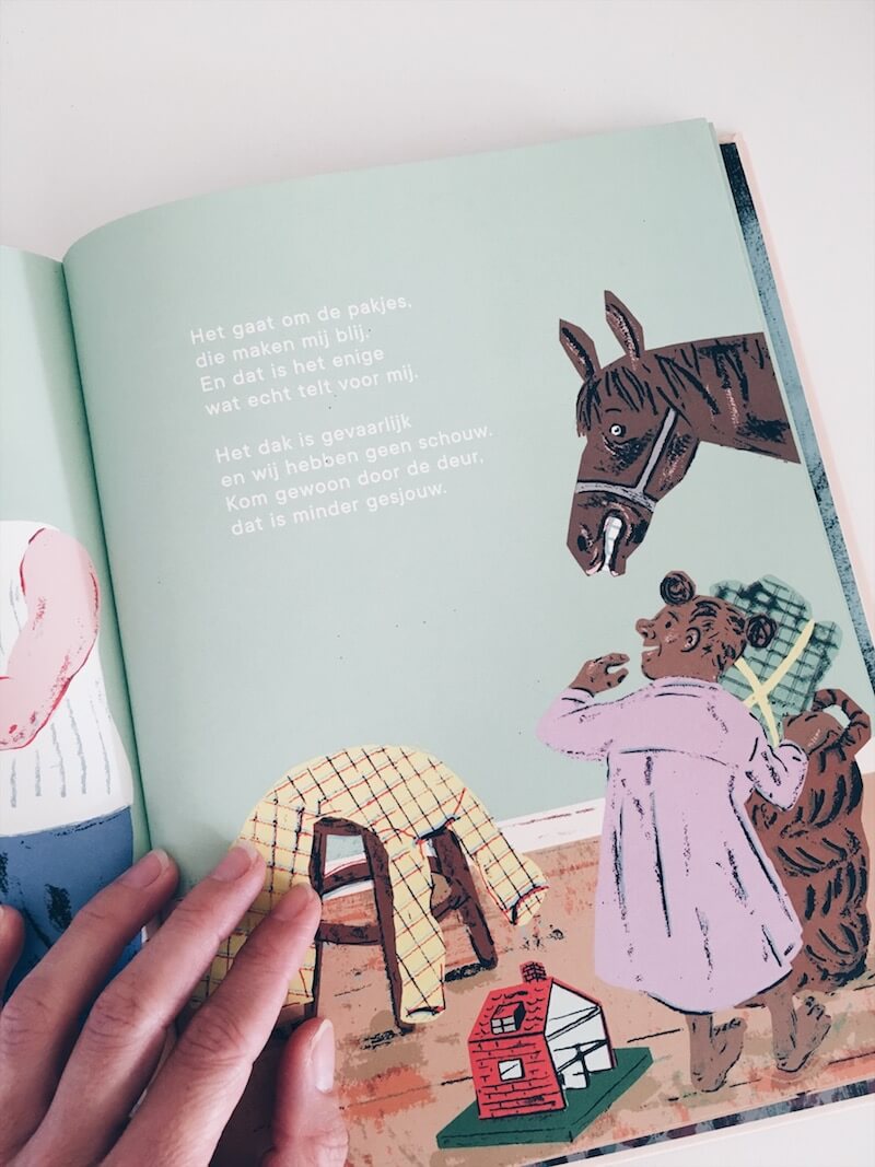 sinterklaas boek - unicorns & fairytales