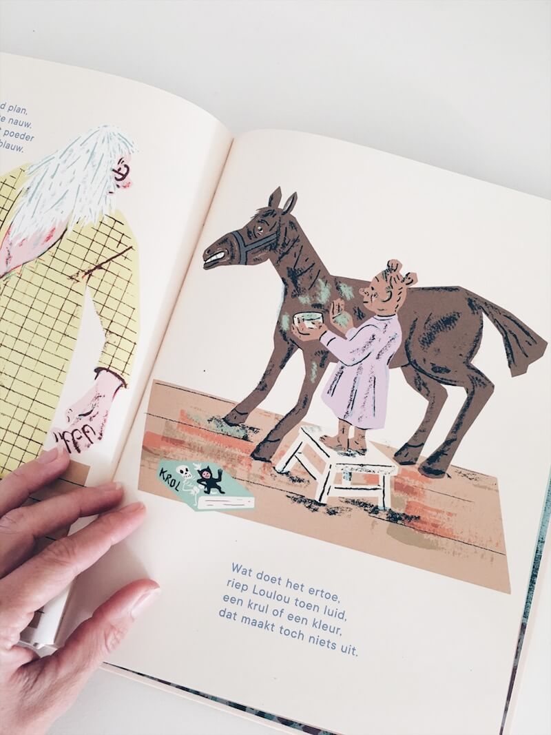 sinterklaas boek - unicorns & fairytales