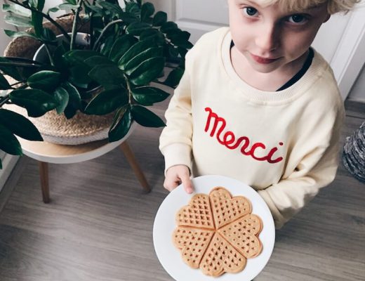 havermoutwafels wafels zonder suiker - unicorns & fairytales