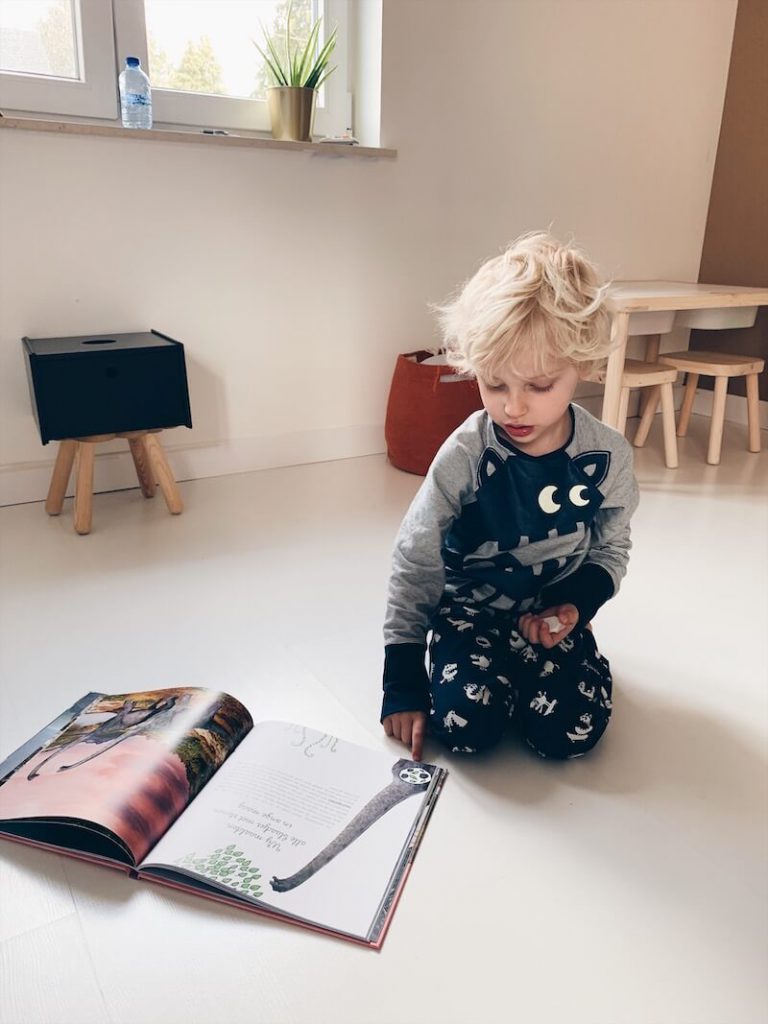 weetjesboeken voor kinderen - unicorns & fairytales