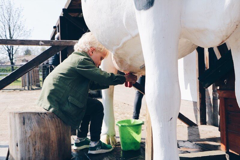 kinderboerderij in nederland - unicorns & fairytales