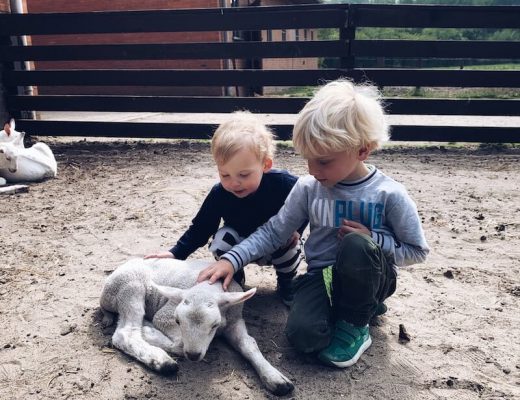 originele uitstappen met kinderen - unicorns & fairytales