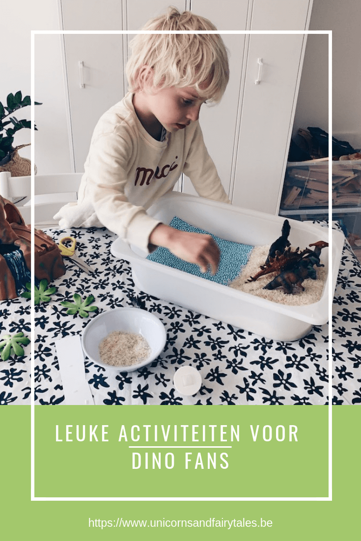 dino activiteiten - unicorns & fairytales