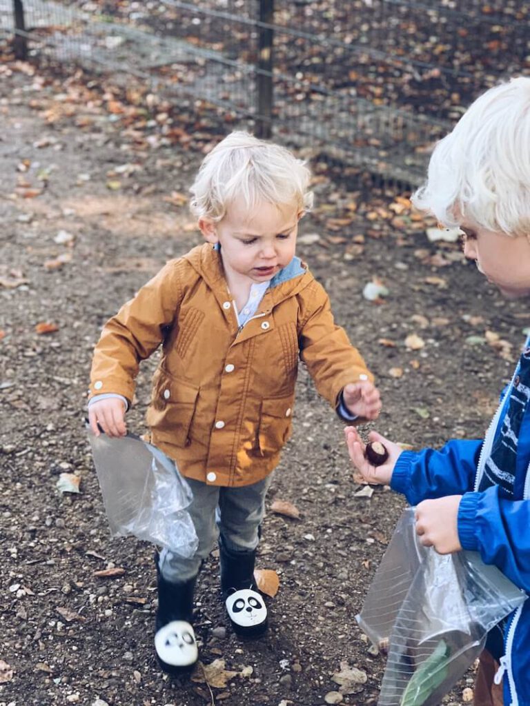 bosactiviteiten kinderen week van het bos - unicorns & fairytales