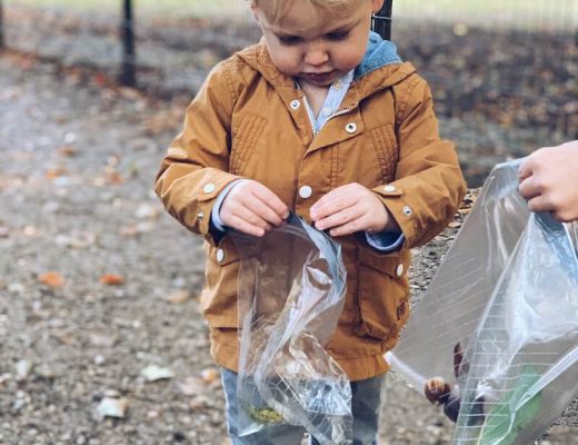 bosactiviteiten kinderen week van het bos - unicorns & fairytales