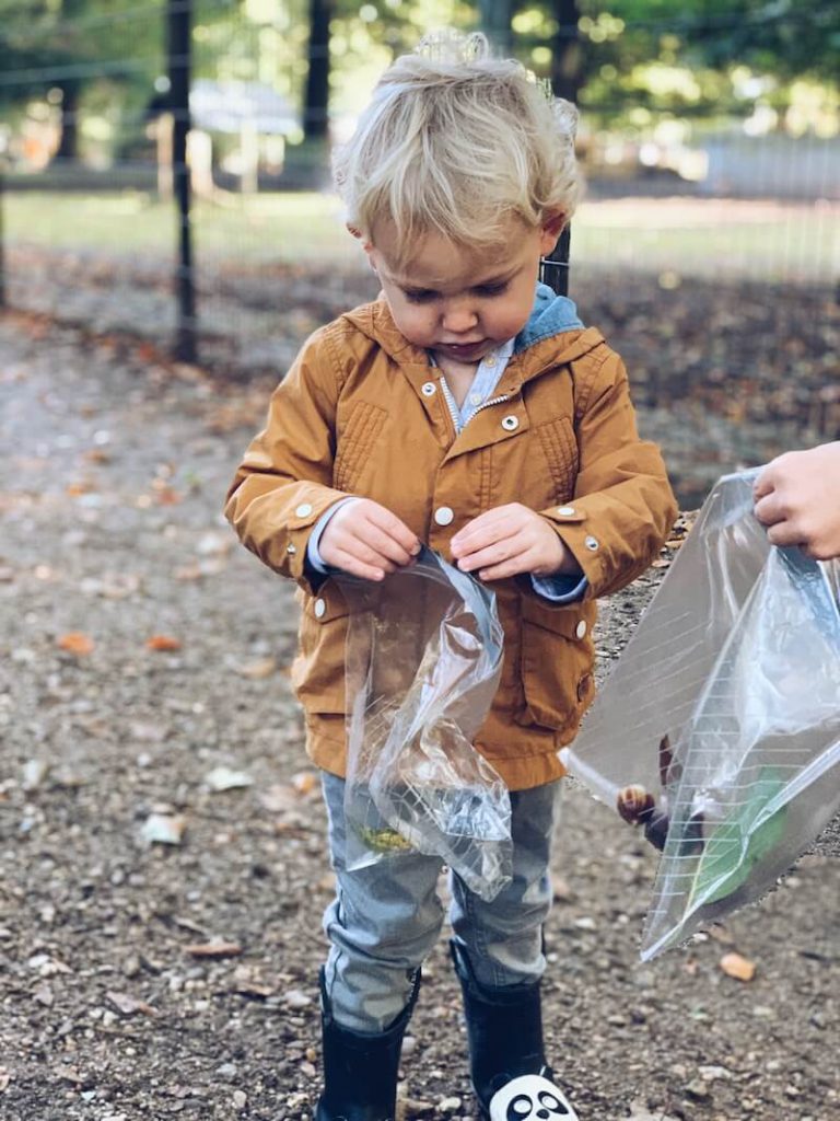 bosactiviteiten kinderen week van het bos - unicorns & fairytales