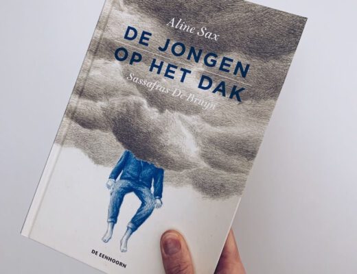 de jongen op het dak - unicorns & fairytales