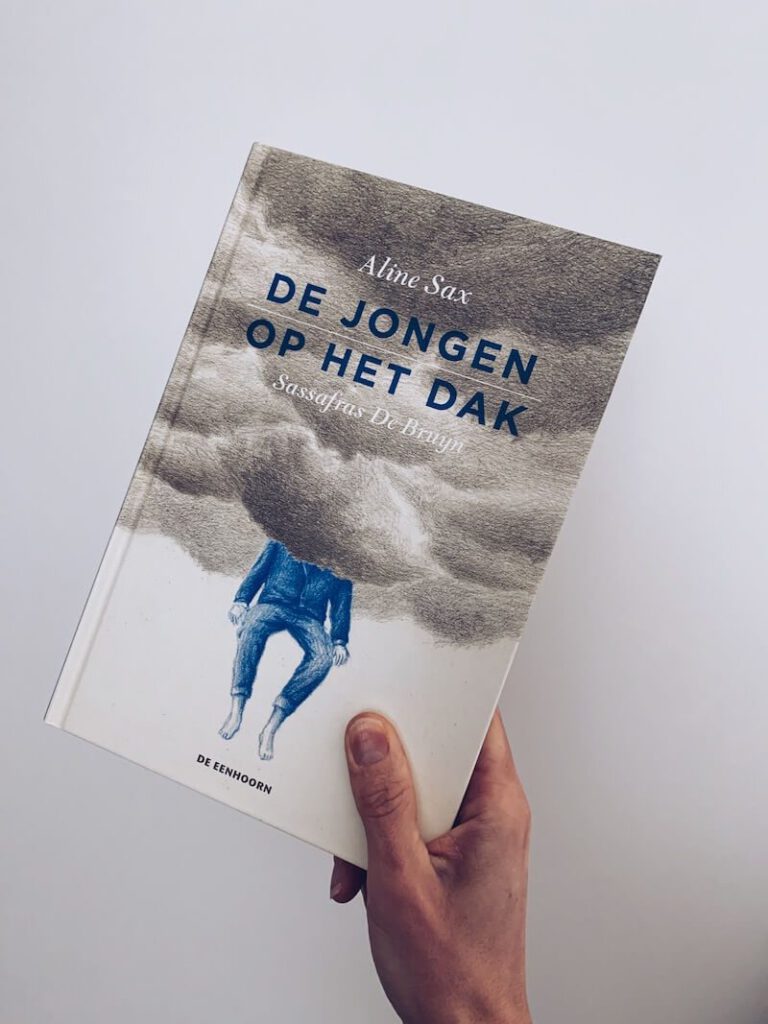 de jongen op het dak - unicorns & fairytales