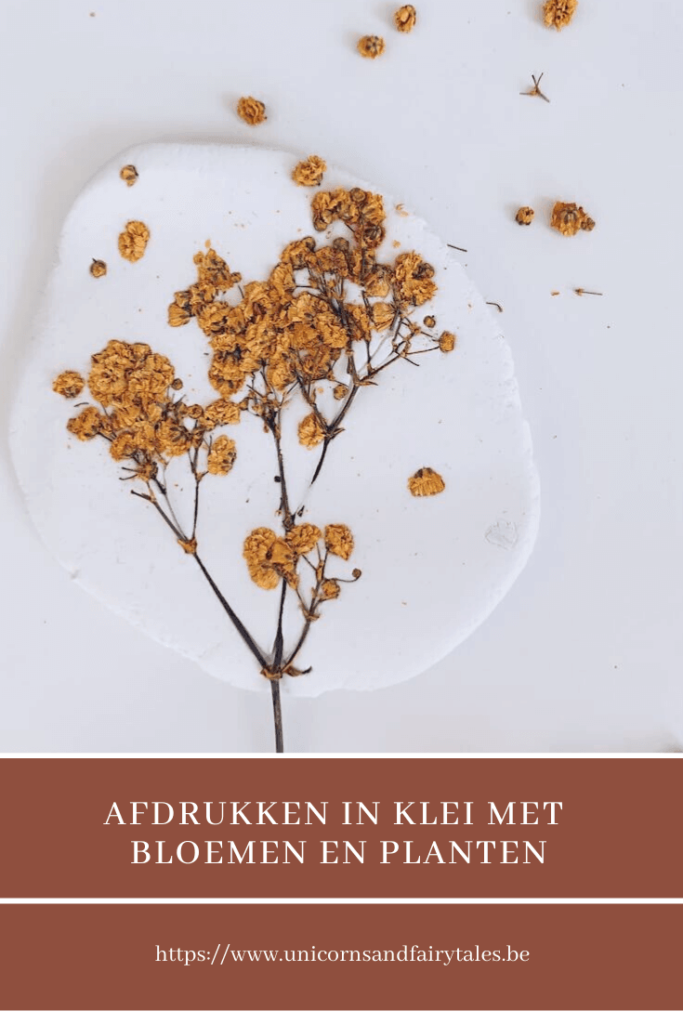 Afdrukken maken in klei van insecten   Tijdens het thema 'kriebelbeestjes' (insecten dus) liet ik de kinderen afdrukken maken van enkele insecten in klei. Ben je niet van plan het hard te laten worden dan kan je dat ook in speeldeeg of play dough laten doen. Zo zien ze de details van de insecten. Geef hen ook een loop en ze zijn echte onderzoekers. Wij maakten afdrukken in luchtdrogende klei en lieten het hard worden. Ook maakten we er op voorhand gaatjes in zodat we die nadien konden ophangen. Van de overgebleven stukken klei maakten we een hartje en ovaal zodat we die gewoon konden schilderen. Leuk cadeautje voor oma en opa die we nu heel erg moeten missen! 