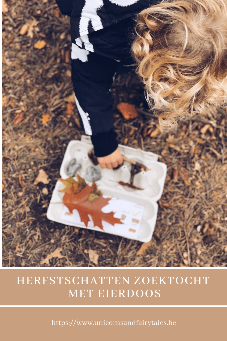 herfst schattentocht met eierdoos - unicorns & fairytales