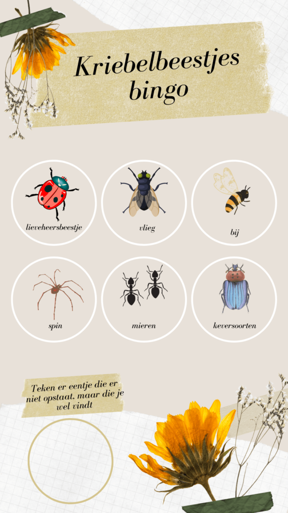 printables insecten en kriebelbeestjes - unicorns & fairytales