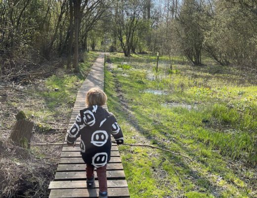 woede uitbarstingen bij kinderen - unicorns & fairytales