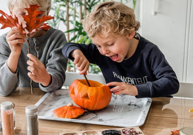 Halloween STEM activiteit - unicorns & fairytales