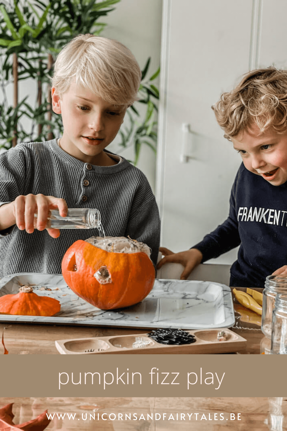 Pumkin Fizz play STEM- unicorns & fairytales