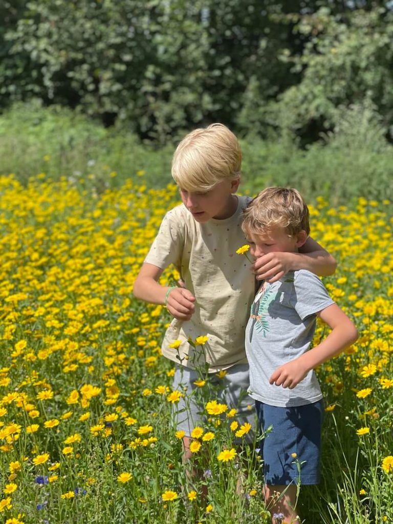 wandelen in Twente Lutterzande - unicorns & fairytales