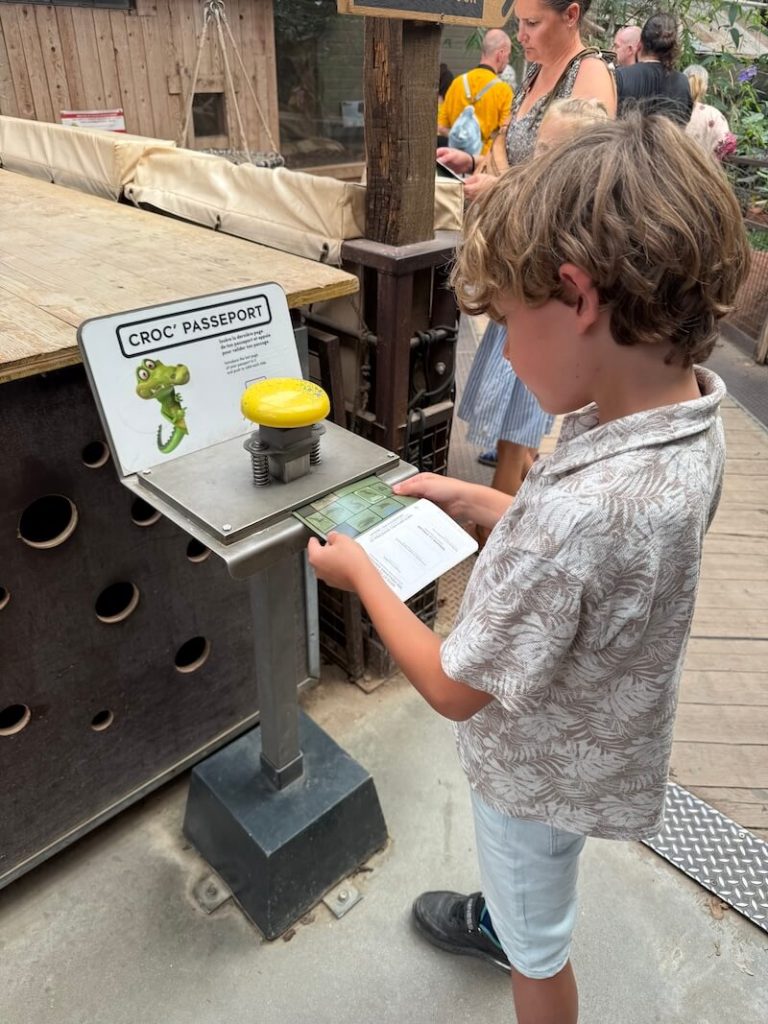 Le Provence met kinderen - unicorns & fairytales