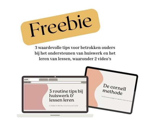 leerstrategieën begrijpen - unicorns & fairytales